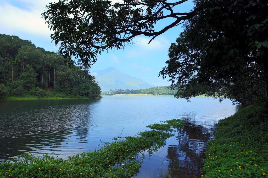 Tariyod Petals Resorts Wayanad מראה חיצוני תמונה