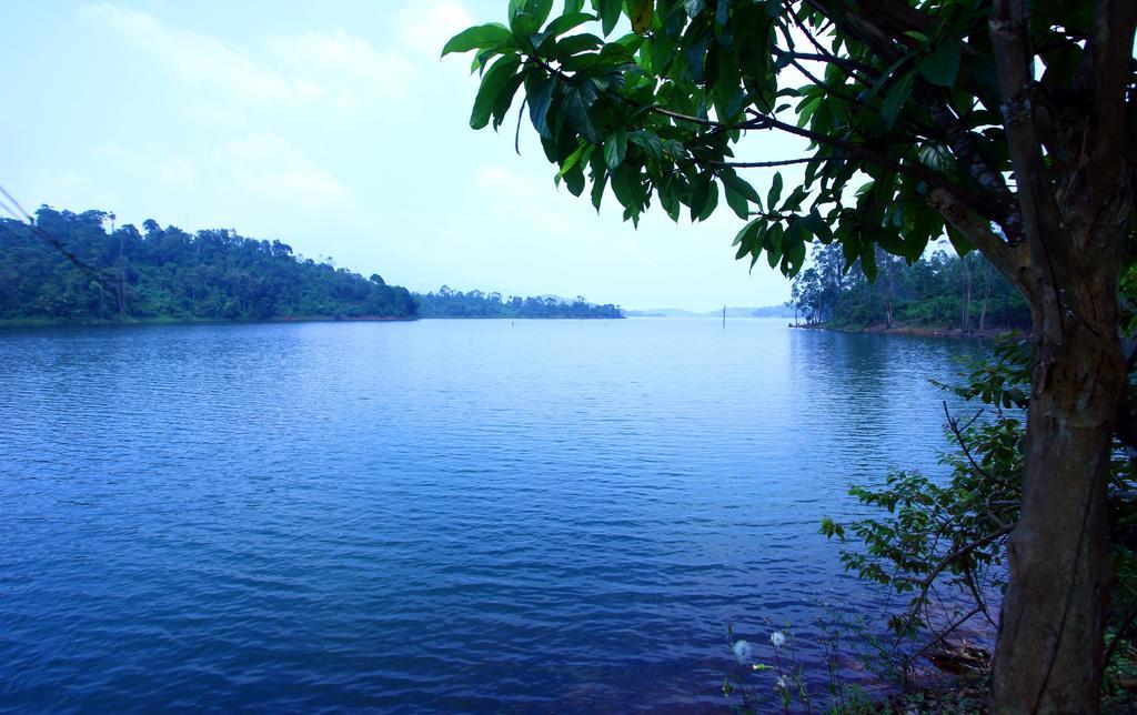 Tariyod Petals Resorts Wayanad מראה חיצוני תמונה